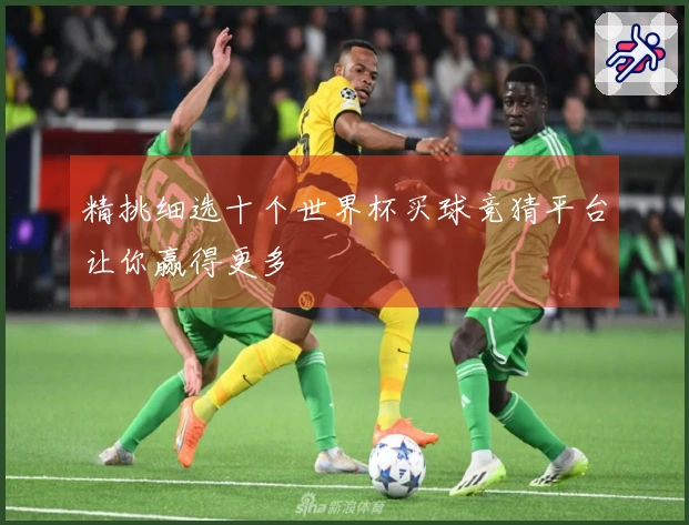 精挑细选十个世界杯买球竞猜平台让你赢得更多