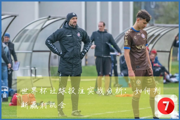 世界杯让球投注实战分析：如何判断赢利机会