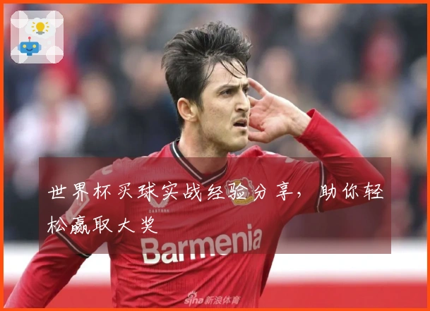 世界杯买球实战经验分享，助你轻松赢取大奖