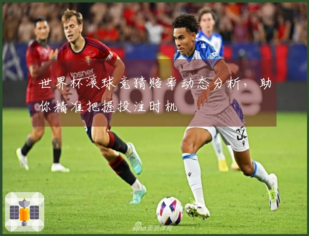 世界杯滚球竞猜赔率动态分析，助你精准把握投注时机