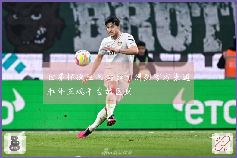 世界杯投注网站如何辨别官方渠道和非正规平台的区别