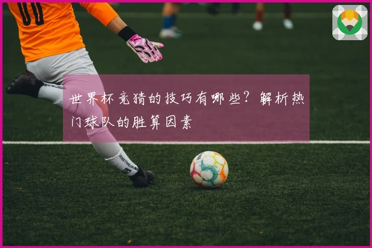 世界杯竞猜的技巧有哪些？解析热门球队的胜算因素