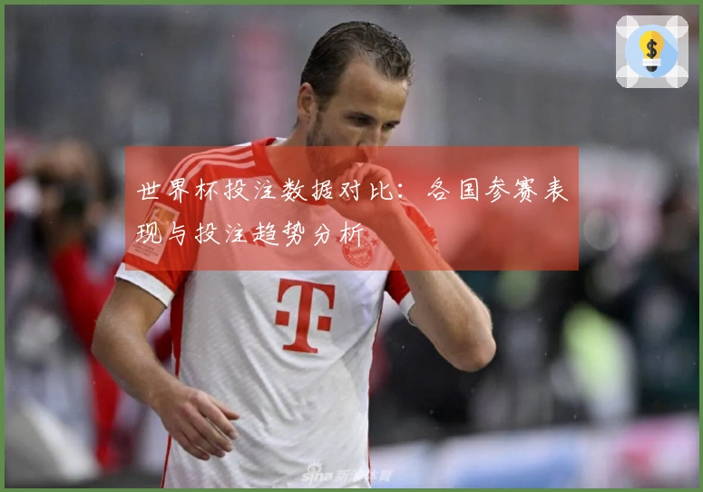 世界杯投注数据对比：各国参赛表现与投注趋势分析