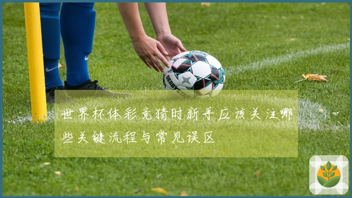 世界杯体彩竞猜时新手应该关注哪些关键流程与常见误区