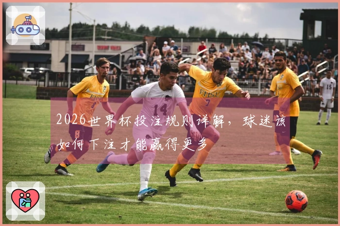 2026世界杯投注规则详解，球迷该如何下注才能赢得更多