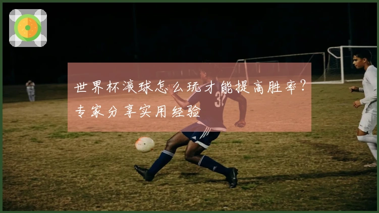 世界杯滚球怎么玩才能提高胜率？专家分享实用经验