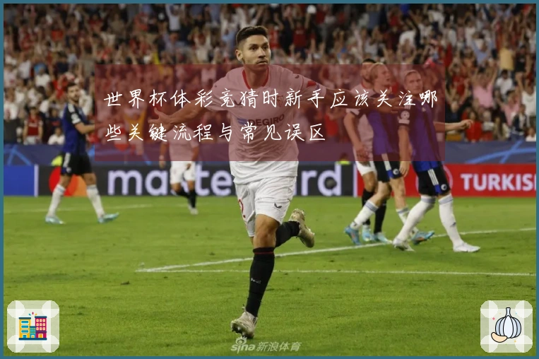 世界杯体彩竞猜时新手应该关注哪些关键流程与常见误区