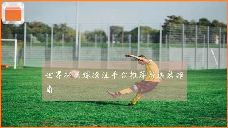世界杯买球投注平台推荐与选购指南