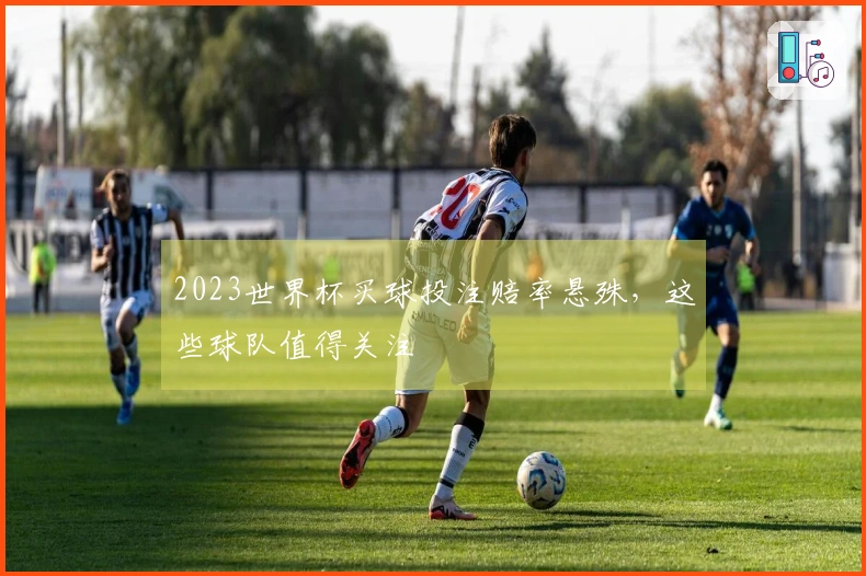 2023世界杯买球投注赔率悬殊，这些球队值得关注